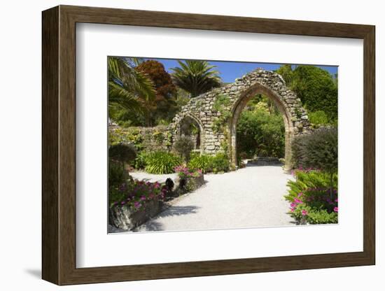 Abbey Gardens, Isle of Tresco, Isles of Scilly, United Kingdom, Europe-Peter Barritt-Framed Photographic Print