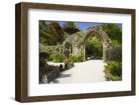 Abbey Gardens, Isle of Tresco, Isles of Scilly, United Kingdom, Europe-Peter Barritt-Framed Photographic Print