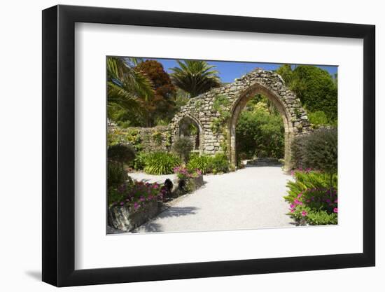 Abbey Gardens, Isle of Tresco, Isles of Scilly, United Kingdom, Europe-Peter Barritt-Framed Photographic Print