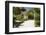 Abbey Gardens, Isle of Tresco, Isles of Scilly, United Kingdom, Europe-Peter Barritt-Framed Photographic Print