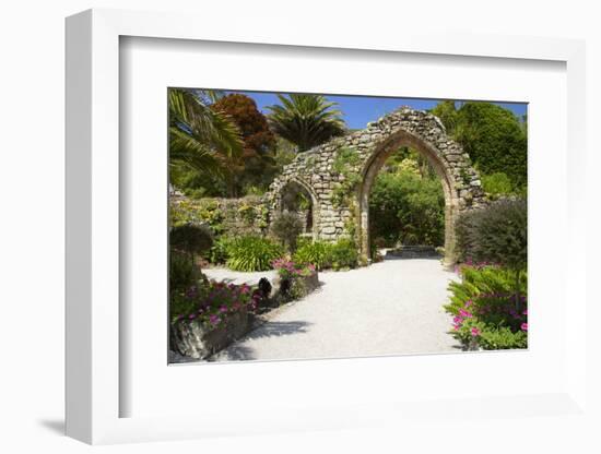 Abbey Gardens, Isle of Tresco, Isles of Scilly, United Kingdom, Europe-Peter Barritt-Framed Photographic Print