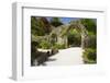 Abbey Gardens, Isle of Tresco, Isles of Scilly, United Kingdom, Europe-Peter Barritt-Framed Photographic Print