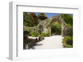 Abbey Gardens, Isle of Tresco, Isles of Scilly, United Kingdom, Europe-Peter Barritt-Framed Photographic Print