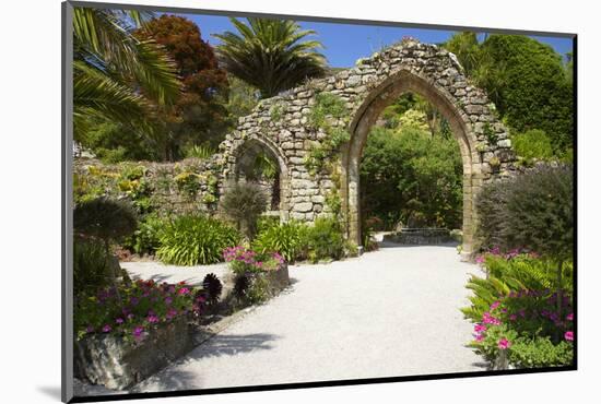 Abbey Gardens, Isle of Tresco, Isles of Scilly, United Kingdom, Europe-Peter Barritt-Mounted Photographic Print