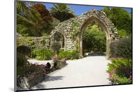 Abbey Gardens, Isle of Tresco, Isles of Scilly, United Kingdom, Europe-Peter Barritt-Mounted Photographic Print