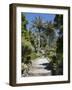 Abbey Gardens, Tresco, Isles of Scilly, Cornwall, United Kingdom, Europe-Robert Harding-Framed Photographic Print