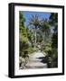 Abbey Gardens, Tresco, Isles of Scilly, Cornwall, United Kingdom, Europe-Robert Harding-Framed Photographic Print