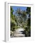 Abbey Gardens, Tresco, Isles of Scilly, Cornwall, United Kingdom, Europe-Robert Harding-Framed Photographic Print