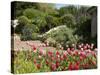 Abbey Gardens, Tresco, Isles of Scilly, United Kingdom, Europe-null-Stretched Canvas