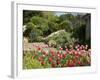 Abbey Gardens, Tresco, Isles of Scilly, United Kingdom, Europe-null-Framed Photographic Print