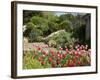 Abbey Gardens, Tresco, Isles of Scilly, United Kingdom, Europe-null-Framed Photographic Print