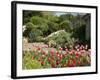 Abbey Gardens, Tresco, Isles of Scilly, United Kingdom, Europe-null-Framed Photographic Print