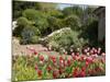 Abbey Gardens, Tresco, Isles of Scilly, United Kingdom, Europe-null-Mounted Photographic Print