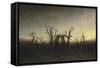 Abbey in the Oak Forest-Caspar David Friedrich-Framed Stretched Canvas