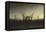 Abbey in the Oak Forest-Caspar David Friedrich-Framed Stretched Canvas