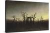 Abbey in the Oak Forest-Caspar David Friedrich-Stretched Canvas