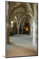 Abbey interior, Mont Saint-Michel monastery, Normandy, France-Russ Bishop-Mounted Photographic Print