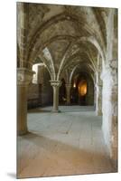 Abbey interior, Mont Saint-Michel monastery, Normandy, France-Russ Bishop-Mounted Premium Photographic Print