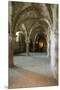 Abbey interior, Mont Saint-Michel monastery, Normandy, France-Russ Bishop-Mounted Premium Photographic Print