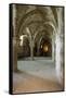 Abbey interior, Mont Saint-Michel monastery, Normandy, France-Russ Bishop-Framed Stretched Canvas