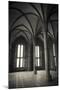 Abbey interior, Mont Saint-Michel monastery, Normandy, France-Russ Bishop-Mounted Photographic Print