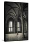 Abbey interior, Mont Saint-Michel monastery, Normandy, France-Russ Bishop-Framed Stretched Canvas