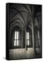 Abbey interior, Mont Saint-Michel monastery, Normandy, France-Russ Bishop-Framed Stretched Canvas