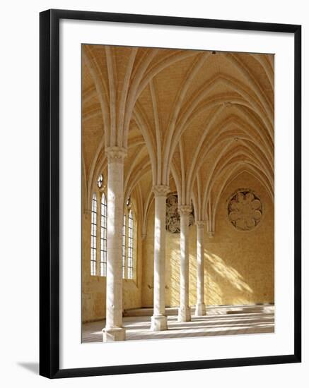Abbey of St; Jean Des Vignes, Soissons, Aisne Department, Picardy, France-Ivan Vdovin-Framed Photographic Print