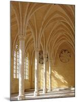 Abbey of St; Jean Des Vignes, Soissons, Aisne Department, Picardy, France-Ivan Vdovin-Mounted Photographic Print