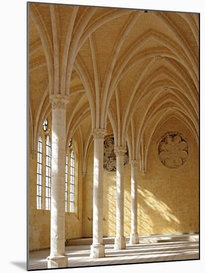 Abbey of St; Jean Des Vignes, Soissons, Aisne Department, Picardy, France-Ivan Vdovin-Mounted Photographic Print