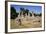 Abbey Ruins, Bury St Edmunds, England-Peter Thompson-Framed Photographic Print