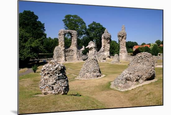 Abbey Ruins, Bury St Edmunds, England-Peter Thompson-Mounted Photographic Print