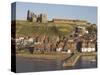 Abbey Ruins, Church, Sandy Beach and Harbour, Whitby, North Yorkshire, Yorkshire-Neale Clarke-Stretched Canvas