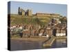 Abbey Ruins, Church, Sandy Beach and Harbour, Whitby, North Yorkshire, Yorkshire-Neale Clarke-Stretched Canvas