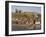 Abbey Ruins, Church, Sandy Beach and Harbour, Whitby, North Yorkshire, Yorkshire-Neale Clarke-Framed Photographic Print