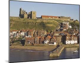 Abbey Ruins, Church, Sandy Beach and Harbour, Whitby, North Yorkshire, Yorkshire-Neale Clarke-Mounted Photographic Print