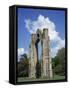 Abbey Ruins, Little Walsingham, Norfolk, England, United Kingdom, Europe-Hunter David-Framed Stretched Canvas