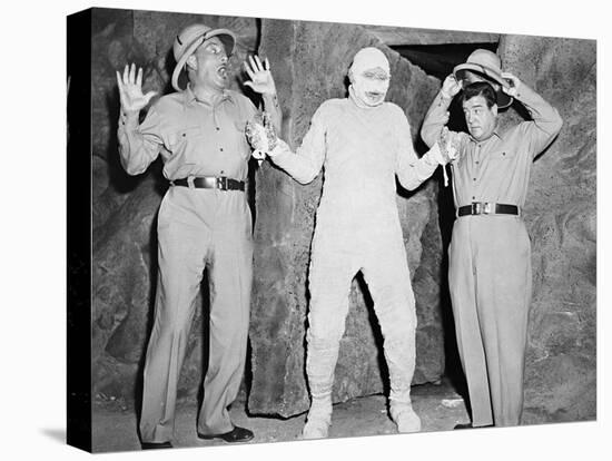 Abbott and Costello Meet the Mummy, 1955-null-Stretched Canvas