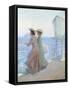 Framed Canvas