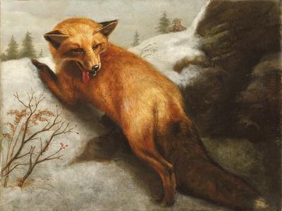 The Red Fox, 1870