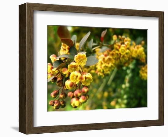 Abbott-Cristina Carra Caso-Framed Photographic Print