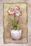 Spring Tulips-Abby White-Art Print
