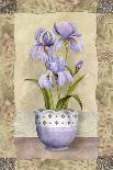 Spring Amaryllis-Abby White-Art Print