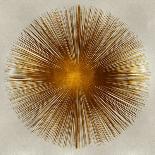 Bronze Sunburst II-Abby Young-Art Print