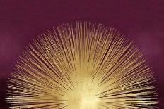 Sunburst Gold on Purple I-Abby Young-Mounted Art Print