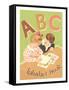 ABC Alphabet Book Cover-null-Framed Stretched Canvas