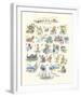 ABC of The Seaside-Claire Fletcher-Framed Giclee Print