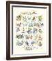 ABC of The Seaside-Claire Fletcher-Framed Giclee Print