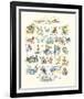 ABC of The Seaside-Claire Fletcher-Framed Giclee Print