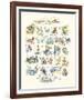 ABC of The Seaside-Claire Fletcher-Framed Giclee Print